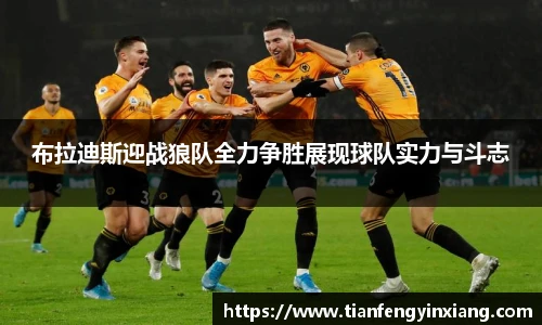 HB火博官网首页